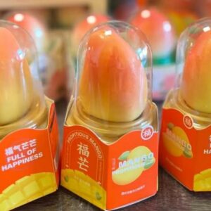 PROPITIOUS MANGO ICE CREAM